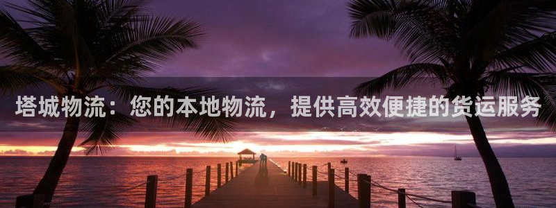 28圈注册网站链接是什么：塔城物流：