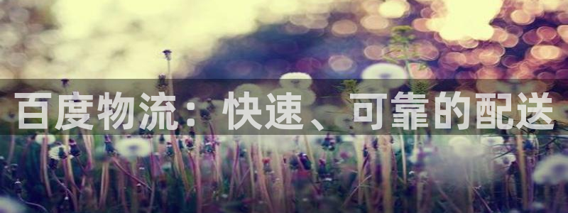28圈怎么注册游戏名字：百度物流：快