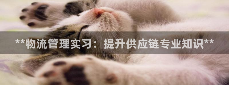 28圈加拿大模拟器：**物流管理实习
