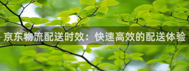 28圈cn：京东物流配送时效：快速高