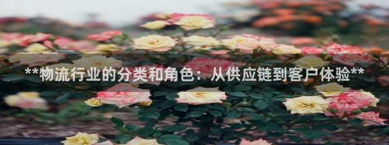 28圈旗下：**物流行业的分类和角色