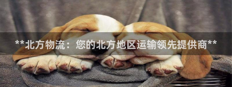 28圈官网平台：**北方物流：您的北