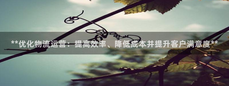 28圈模拟器：**优化物流运营：提高
