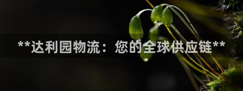 28圈充值不到账什么原因：**达利园