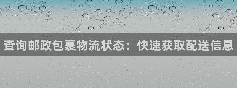 28圈p图上分下款通道：查询邮政包裹