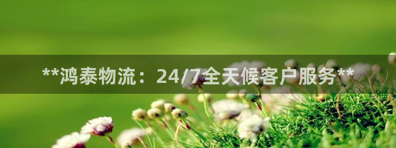 28圈分分28预测：**鸿泰物流：2