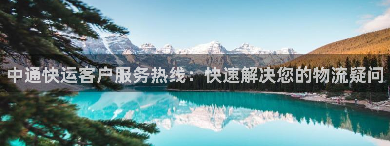 28圈模拟器在线玩：中通快运客户服务