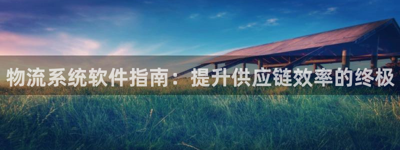 28圈最稳打法：物流系统软件指南：提