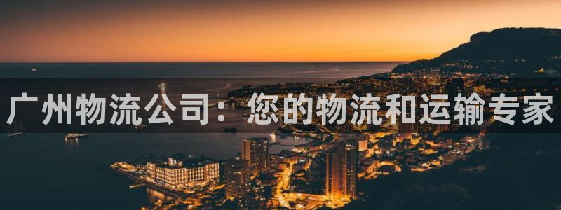 28圈的平台：广州物流公司：您的物流