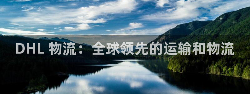 28圈注册上限是啥意思：DHL 物流