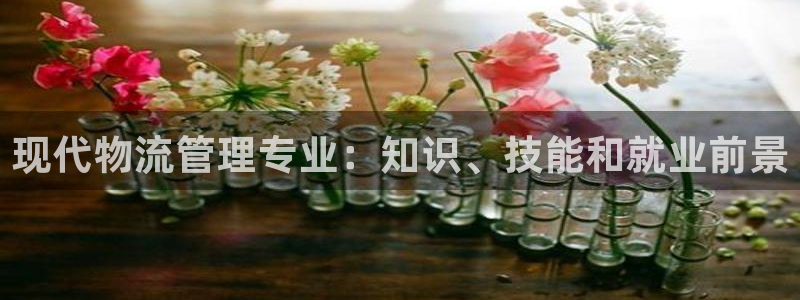 28圈加拿大技巧：现代物流管理专业：