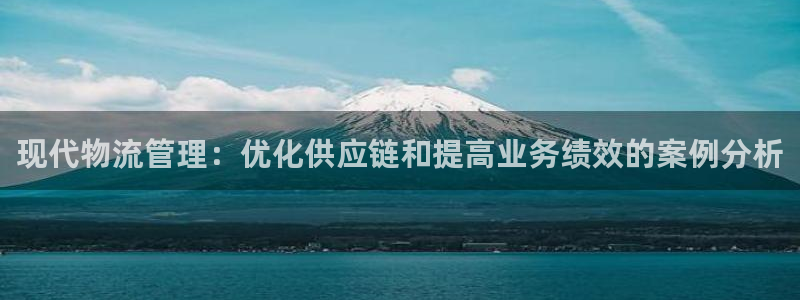 28圈游戏官网版：现代物流管理：优化