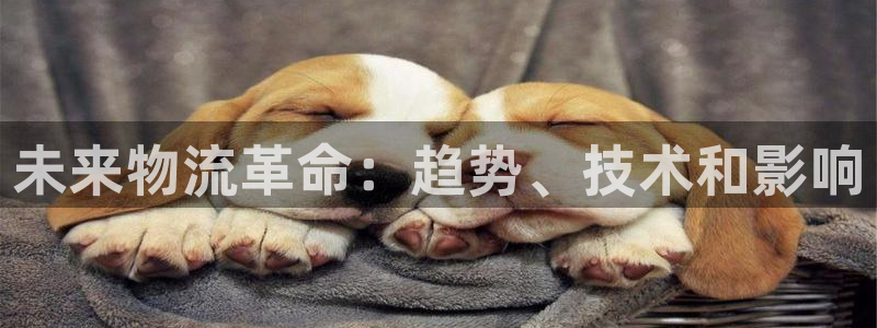 28圈模拟器下载：未来物流革命：趋势