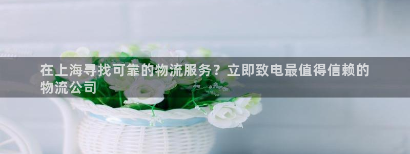 28圈游戏官网入口：在上海寻找可靠的