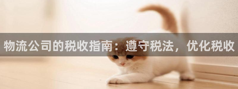 28圈注册网站加拿大：物流公司的税收