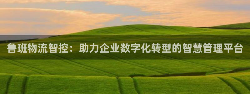 28圈登录不上咋回事