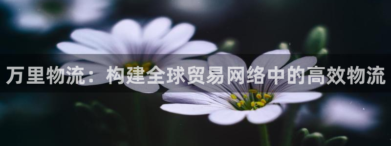 28圈下载不了
