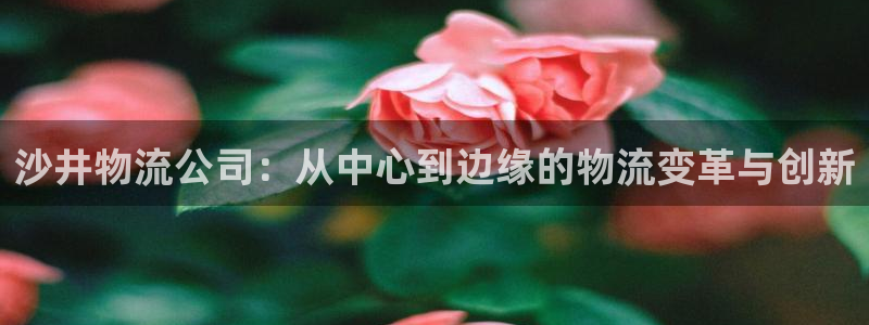 28圈推广链接是多少个