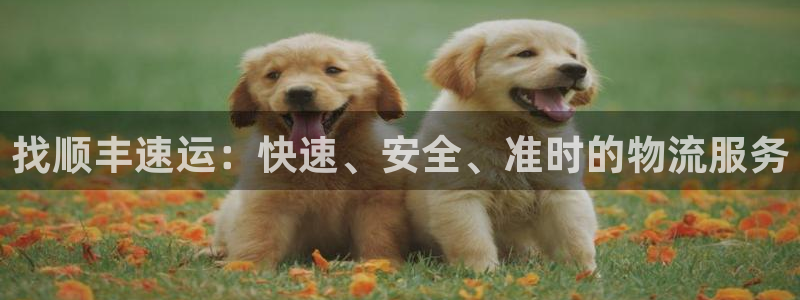 28圈p图上分下款通道