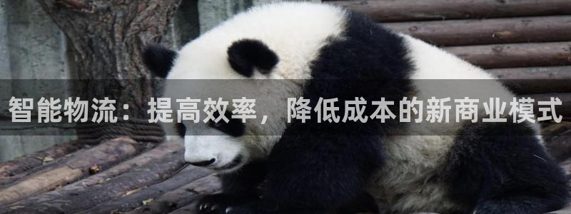 28圈正规吗?