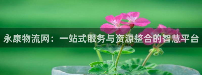 28圈模拟器