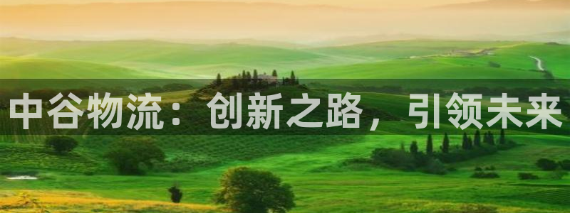 28圈防失联网址