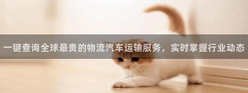 28圈.ccm