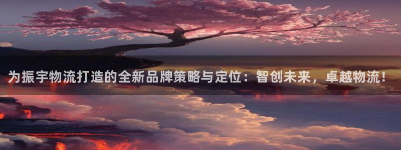 28圈登录不上咋回事：为振宇物流打造