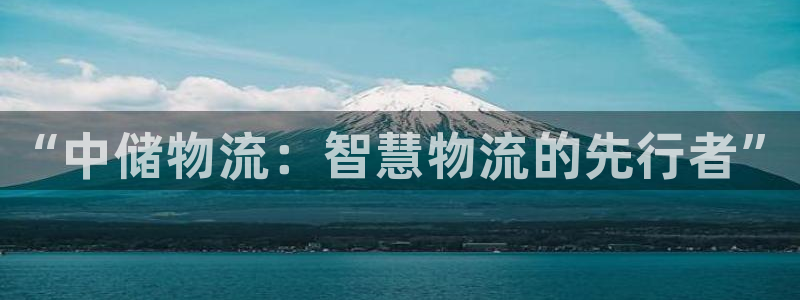 28圈官网链接:“中储物流:智慧物流