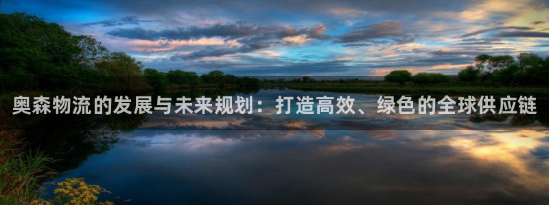 28圈反水什么时候到：奥森物流的发展