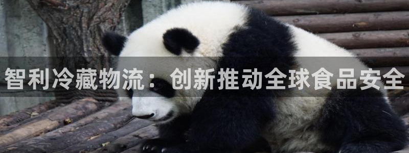 28圈口内径是多大：智利冷藏物流：创