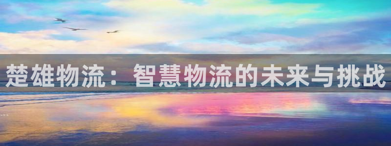 28圈加拿大app预测：楚雄物流：智