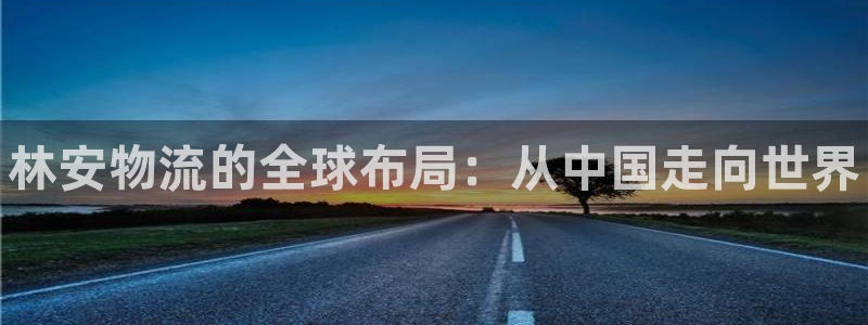 28圈游戏：林安物流的全球布局：从中