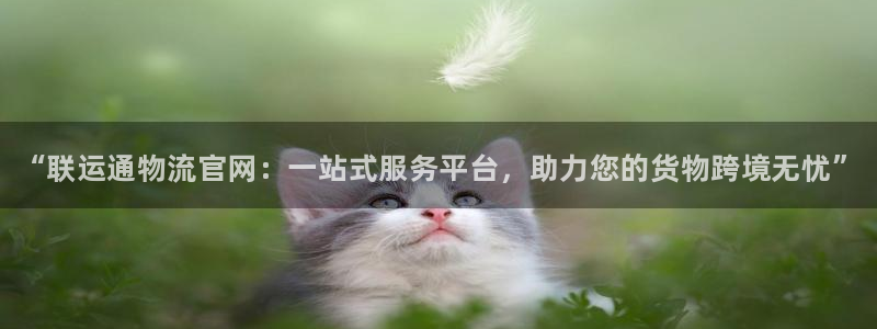 28圈提现不到账：“联运通物流官网：