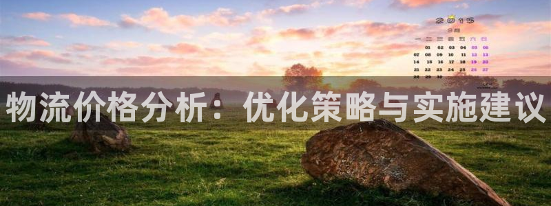 28圈官网链接：物流价格分析：优化策略与实施建议