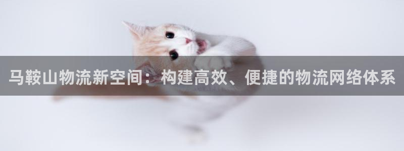 28圈比特28预测在线预测：马鞍山物