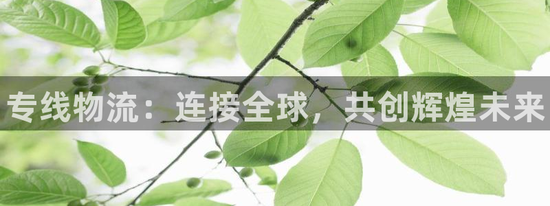 28圈怎么下载教程：专线物流：连接全