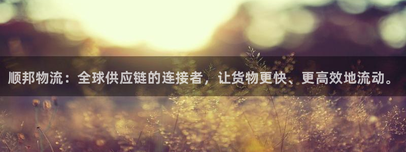 28圈预测网：顺邦物流：全球供应链的连接者，让货物更快、更高