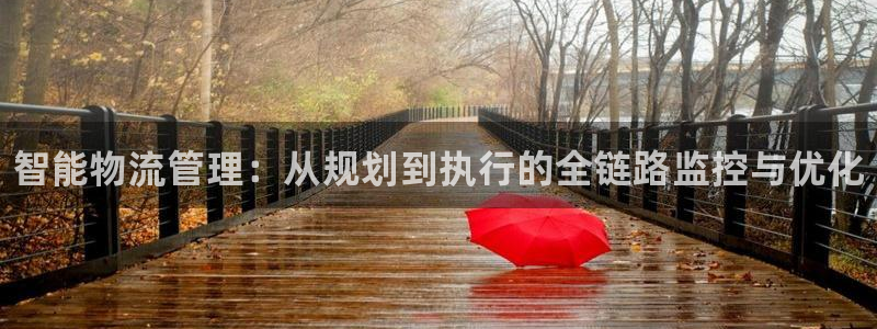 28圈注册流程：智能物流管理：从规划