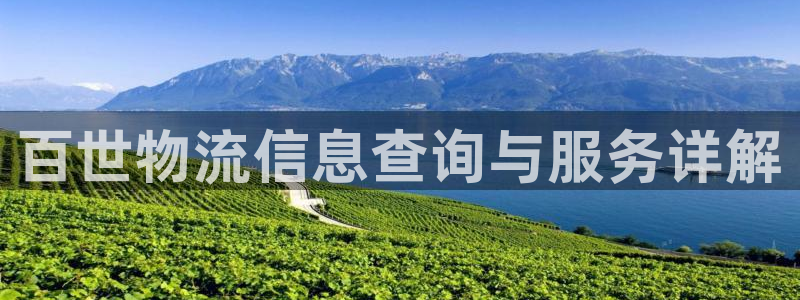 28圈入口问一问：百世物流信息查询与