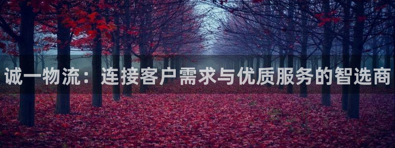 28圈预测网:诚一物流:连接客户需求