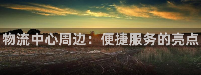 28圈连输10天：物流中心周边：便捷