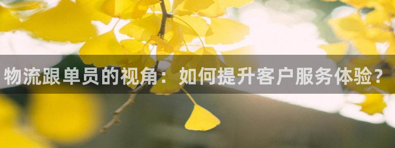 28圈aPP退款：物流跟单员的视角：