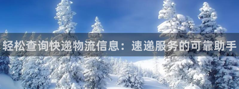 28圈最稳打法：轻松查询快递物流信息