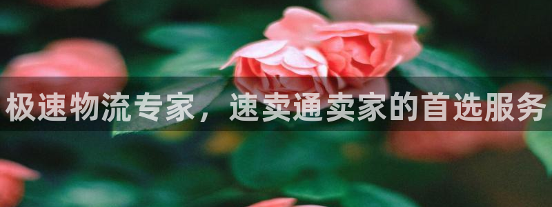 28圈注册网址：极速物流专家，速卖通