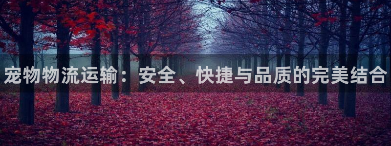 28圈头像：宠物物流运输：安全、快捷