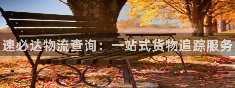 28圈反水什么时候到：速必达物流查询