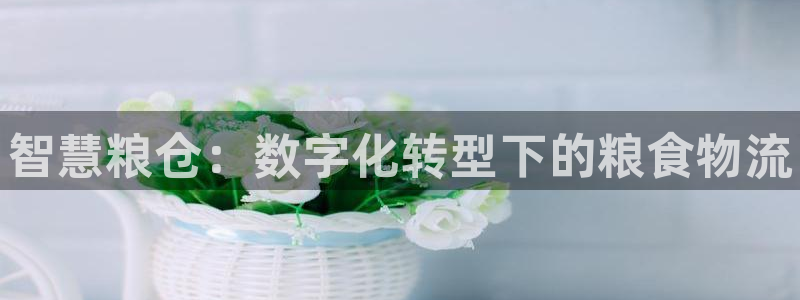 28圈注册登录：智慧粮仓：数字化转型