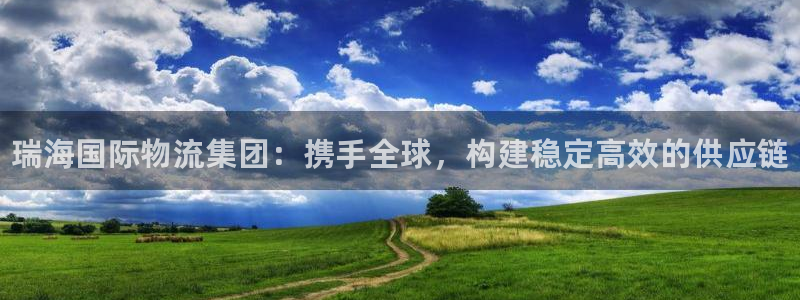 28圈注册入口与教程：瑞海国际物流集