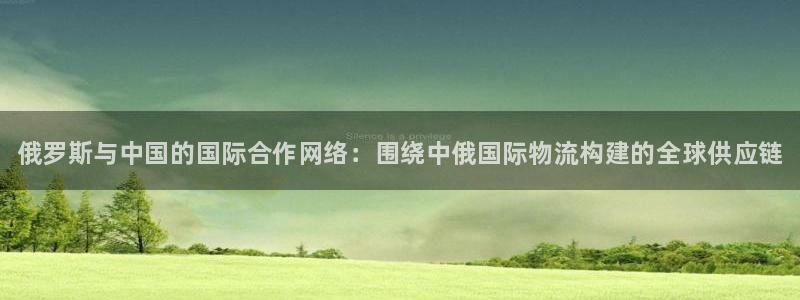 28圈初始资金密码在哪里改：俄罗斯与
